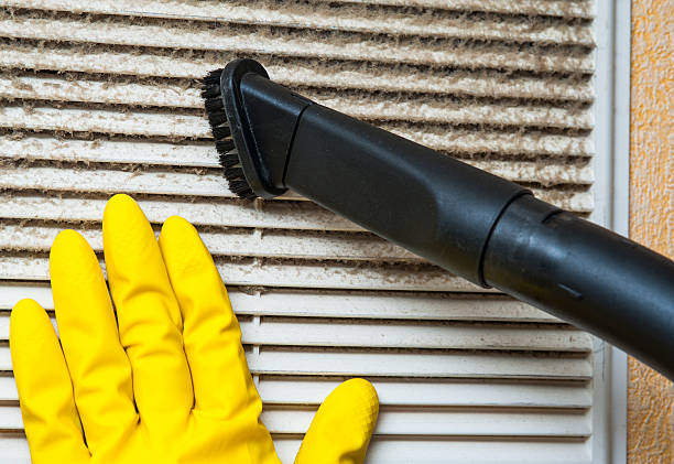 Best Professional Duct Cleaning Services  in Heritage Pines, FL